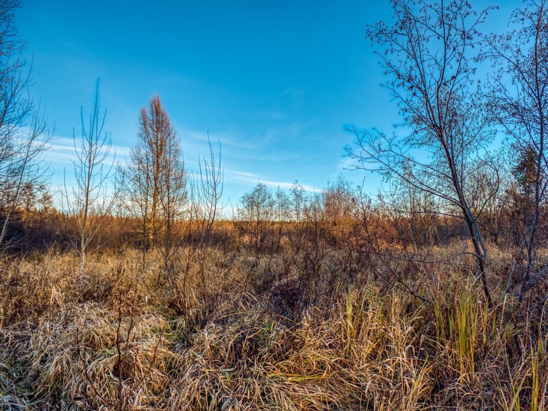 TBD Dora Lake Rd, Kinghurst Twp, MN 56661
