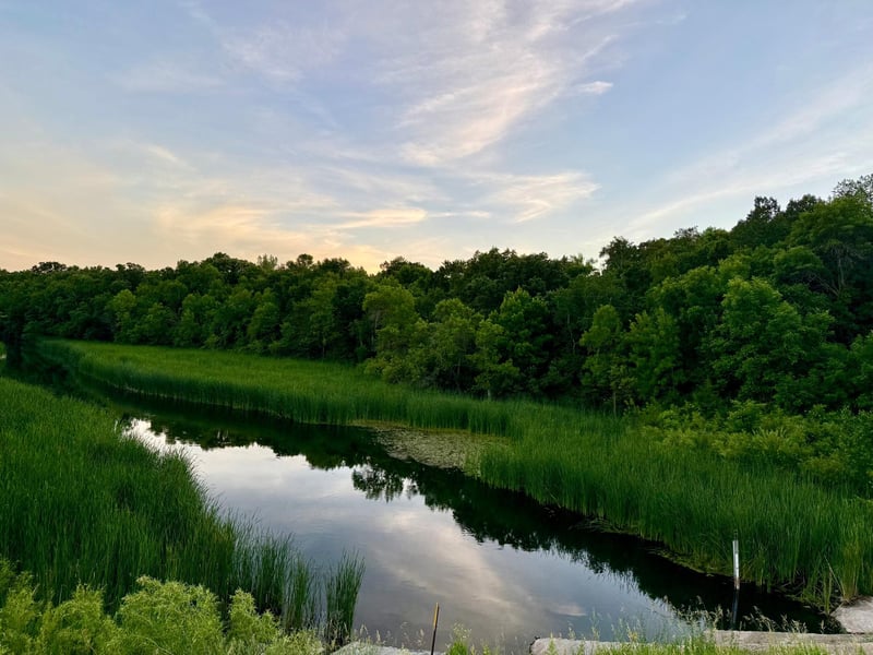 TBD Basswood Dr, Sauk Centre, MN 56378