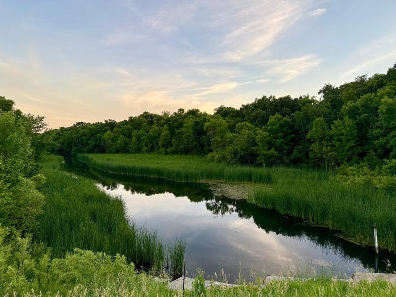 TBD Basswood Dr, Sauk Centre, MN 56378