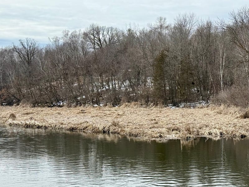 TBD Basswood Dr, Sauk Centre, MN 56378