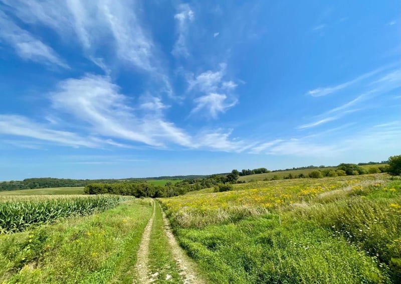 TBD-C County 8, Spring Grove, MN 55954