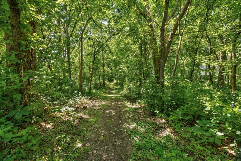 12659 Terrace Ln, Little Falls, MN 56345