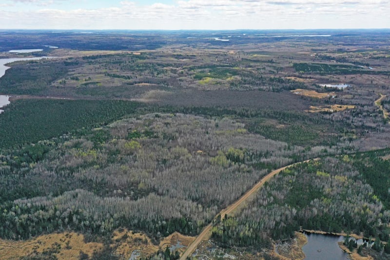 4268 Crane Lake Rd, Orr, MN 55771