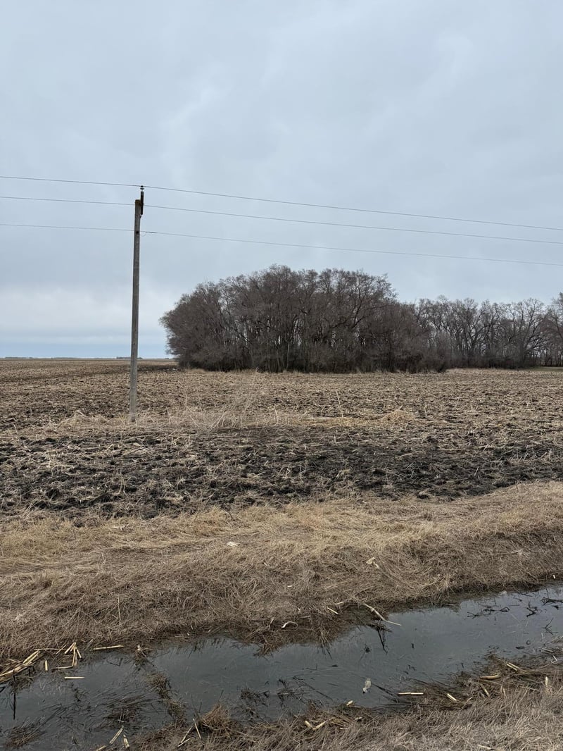 2084 440th St, Campbell, MN 56522