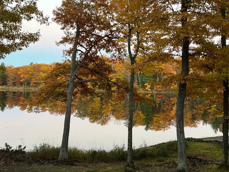 N5284 Golden Pond Ln, Stone Lake, WI 54876