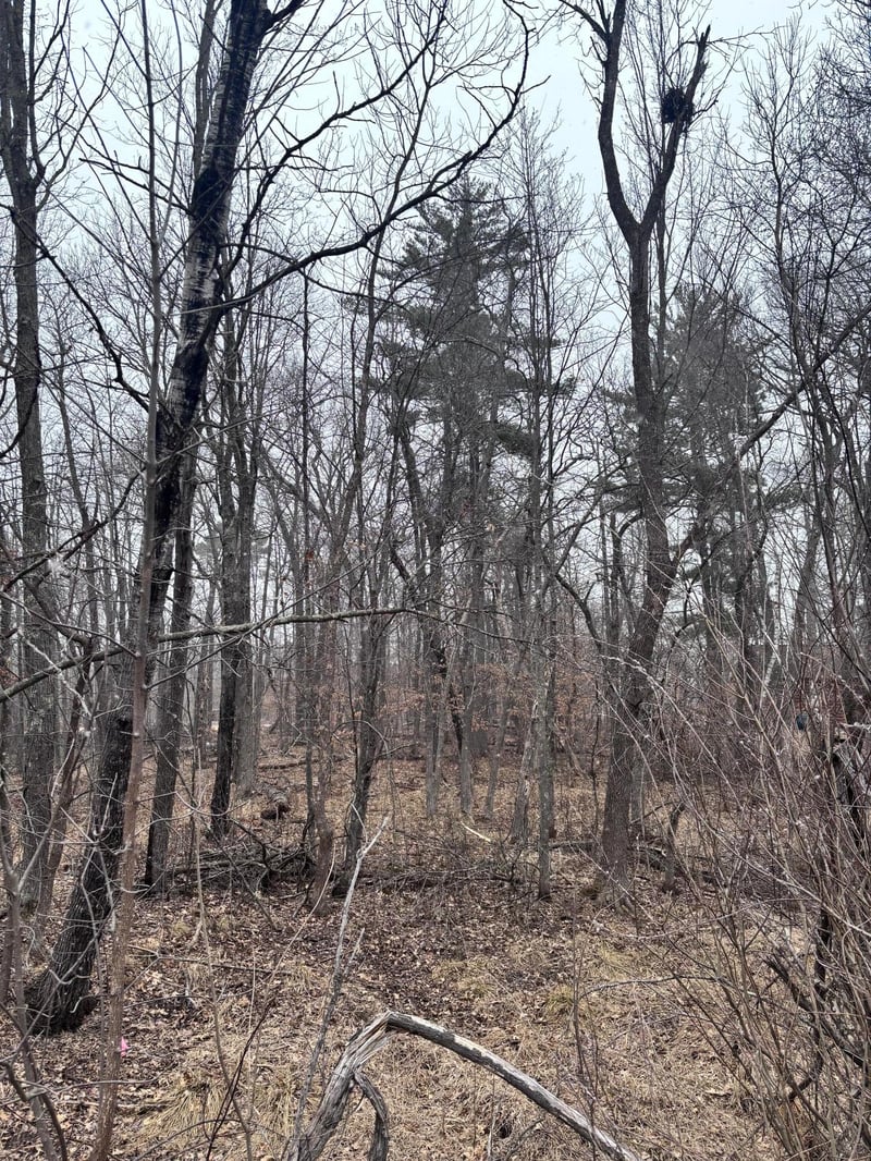 79xx Golf Estates Dr, Pequot Lakes, MN 56472