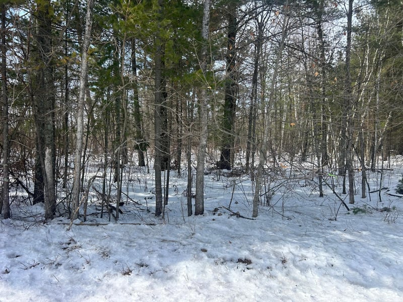 TBD County Road 1, Pine River, MN 56474
