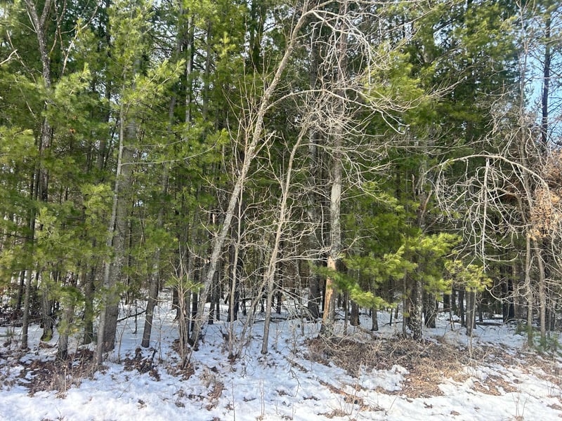 TBD County Road 1, Pine River, MN 56474
