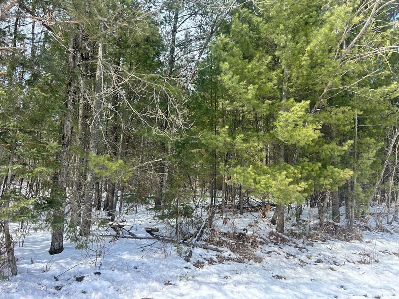 TBD County Road 1, Pine River, MN 56474