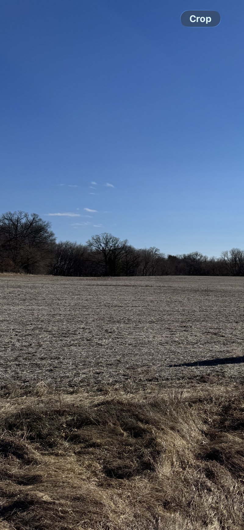 TBD 210th Ln NW, Nowthen, MN 55303