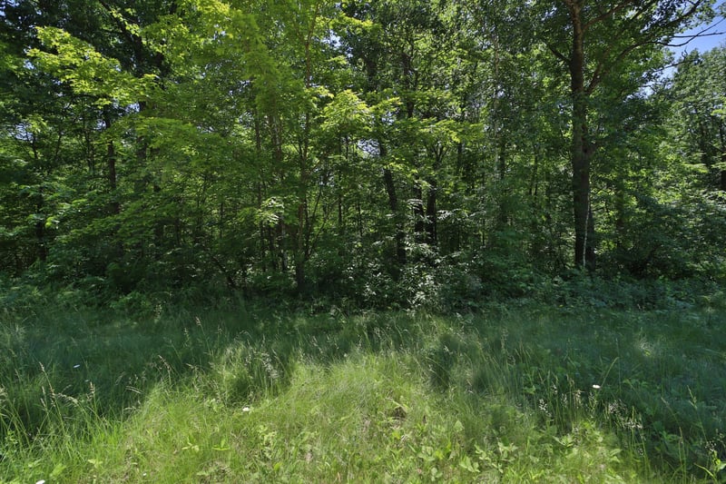 Tract D Olander Rd, Crosby, MN 56441