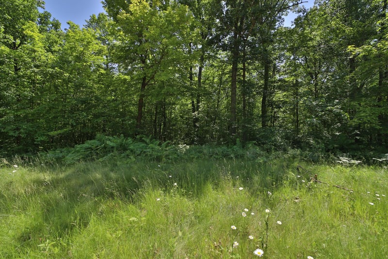 Tract D Olander Rd, Crosby, MN 56441