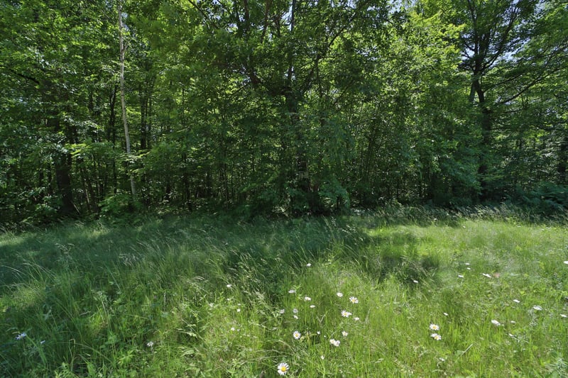 Tract D Olander Rd, Crosby, MN 56441