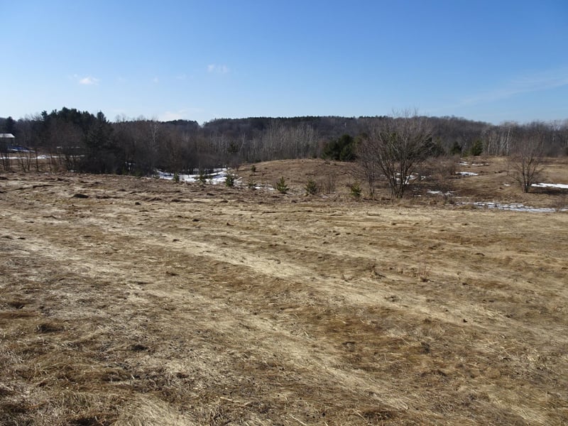 XXX Hwy 35, Frederic, WI 54837