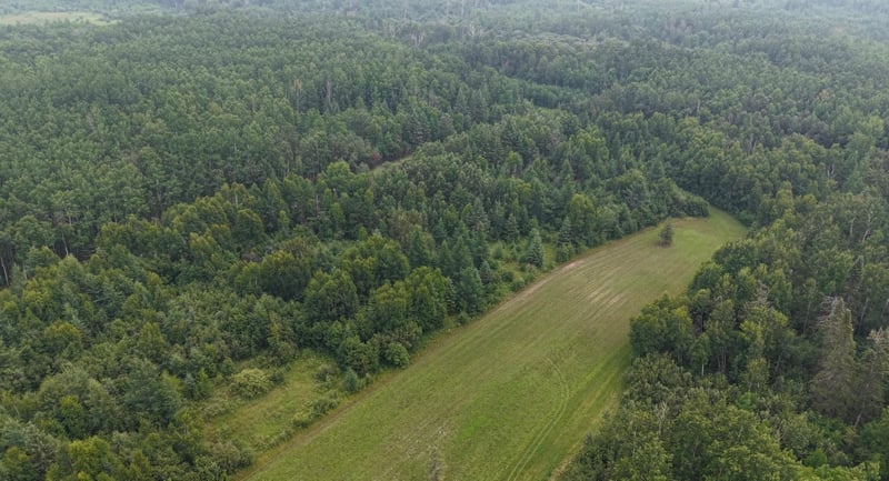TBD Tangnes Forest Rd, Roosevelt, MN 56673