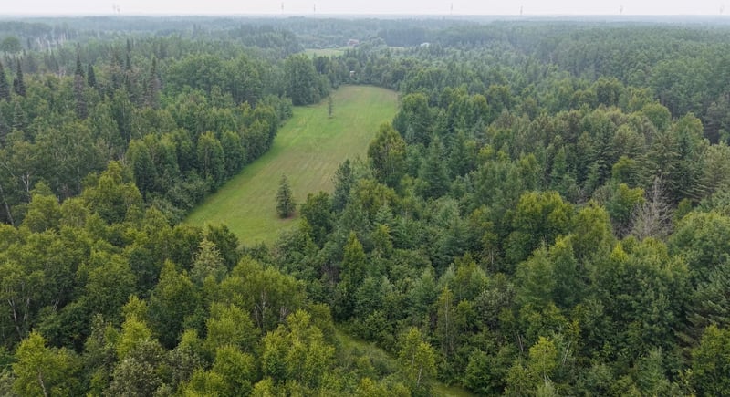 TBD Tangnes Forest Rd, Roosevelt, MN 56673