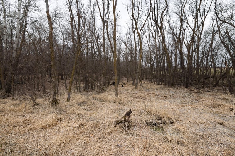 Lot 3 Saylers Beach Rd, Lake Park, MN 56554