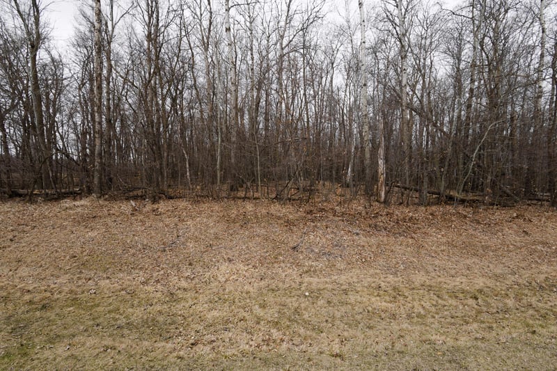 Lot 3 Saylers Beach Rd, Lake Park, MN 56554