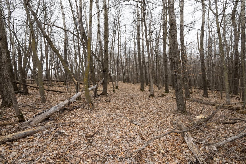 Lot 3 Saylers Beach Rd, Lake Park, MN 56554