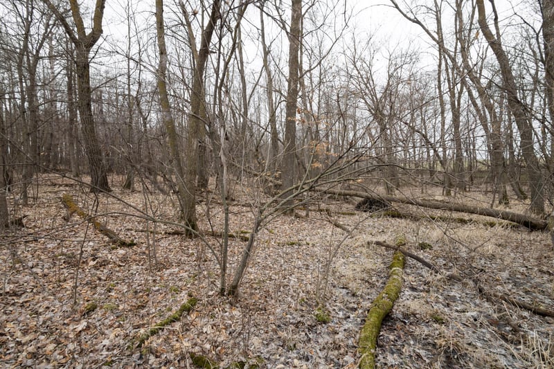 Lot 3 Saylers Beach Rd, Lake Park, MN 56554