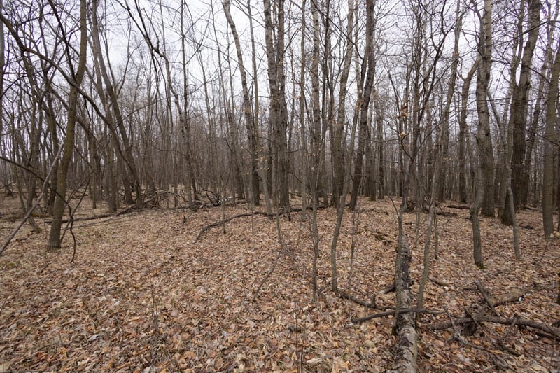 Lot 4 Saylers Beach Rd, Lake Park, MN 56554