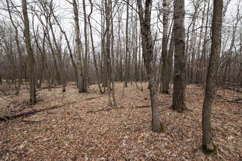 Lot 6 Saylers Beach Rd, Lake Park, MN 56554