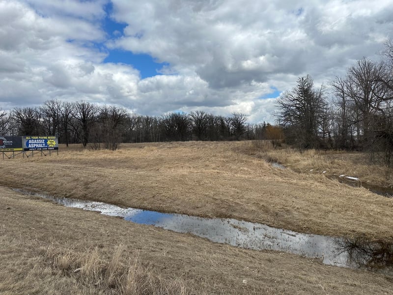 TBD State Hwy 11, Badger, MN 56714