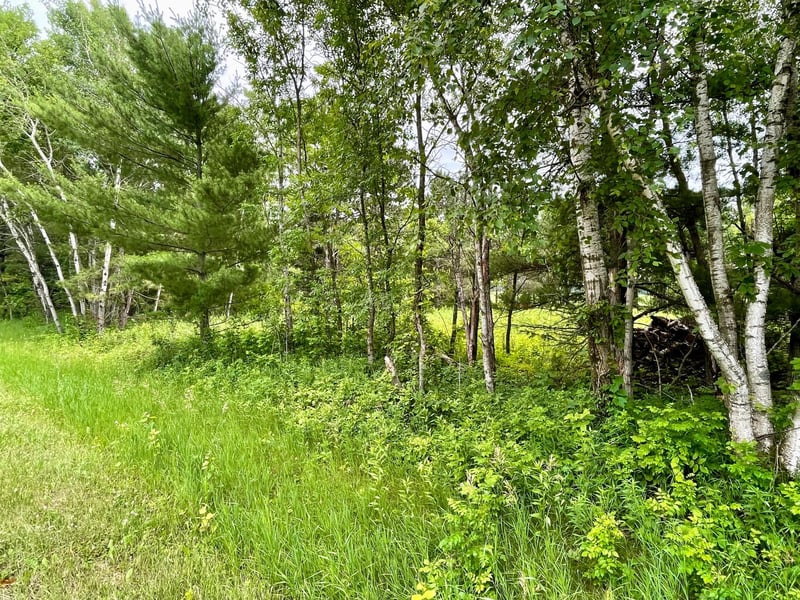 TBD Pacer Dr, Browerville, MN 56438