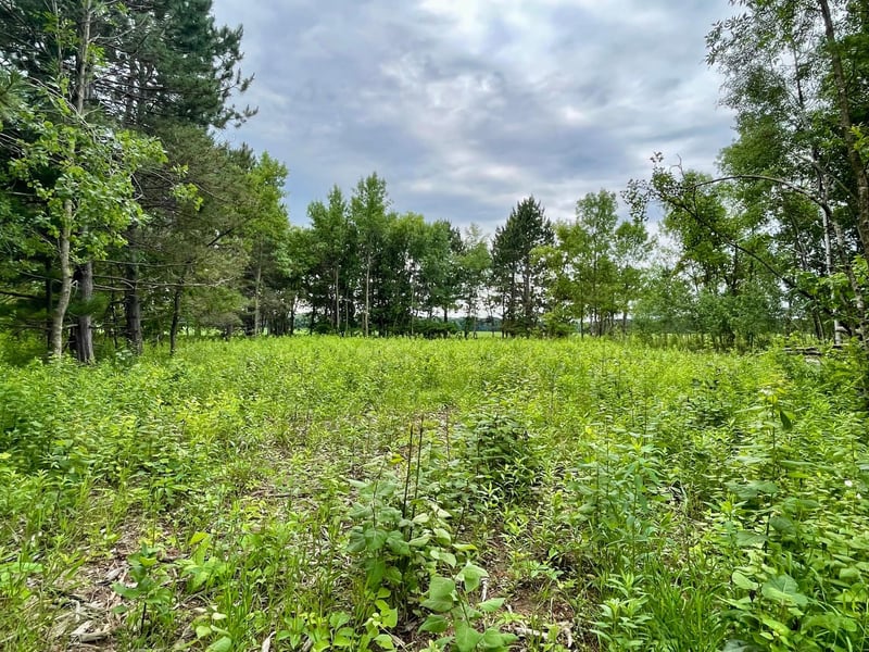 TBD Pacer Dr, Browerville, MN 56438