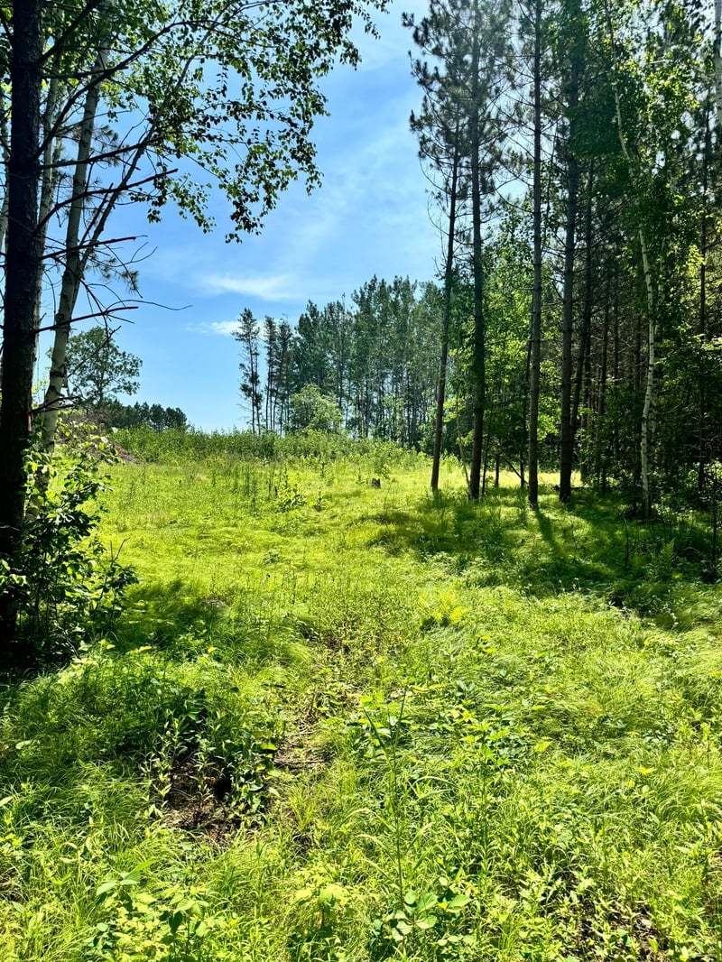 TBD4 Destination Dr, Nevis, MN 56467