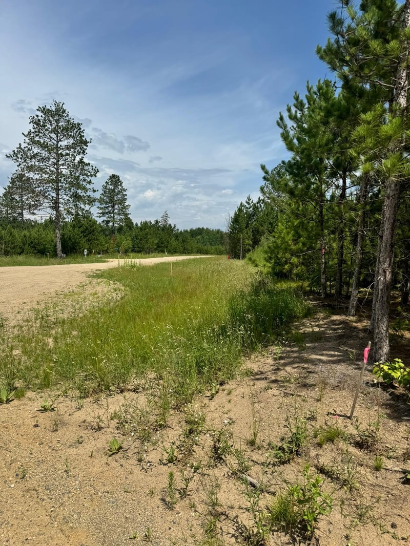 TBD4 Destination Dr, Nevis, MN 56467