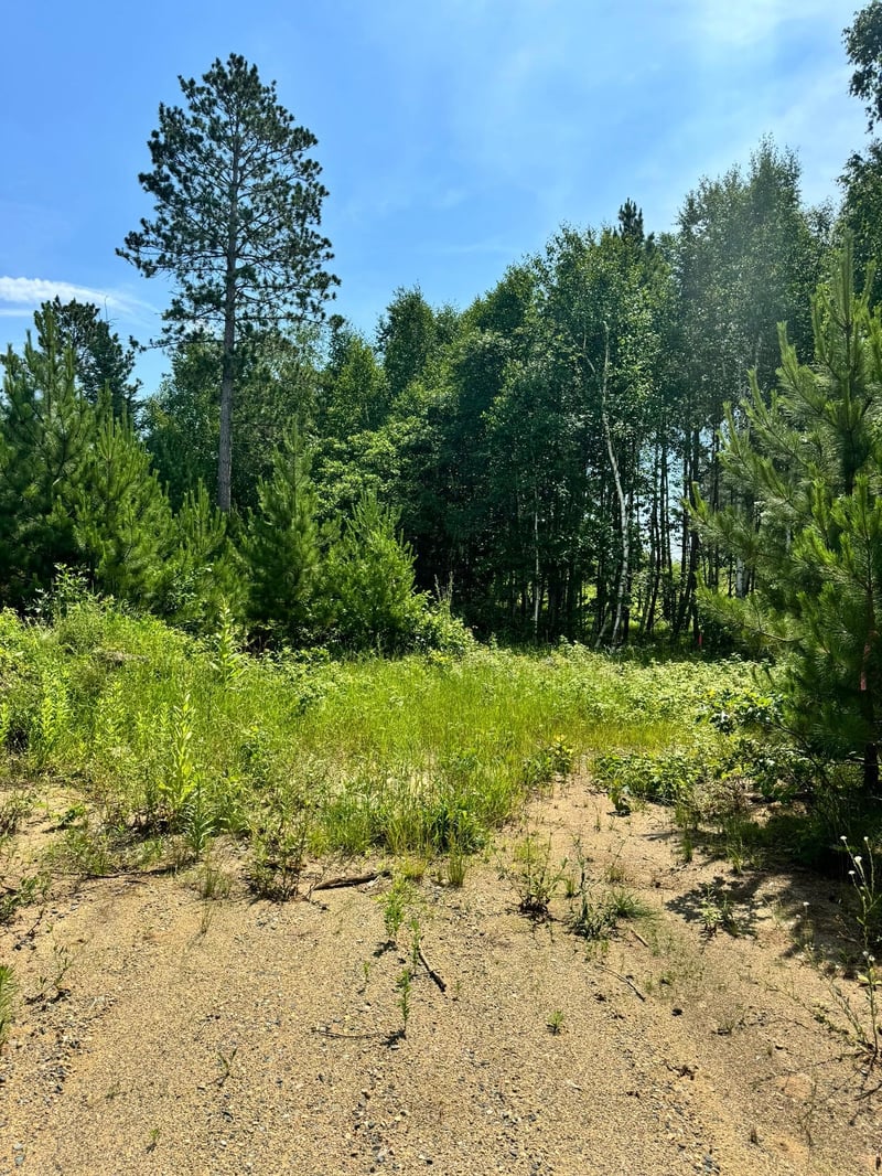TBD4 Destination Dr, Nevis, MN 56467
