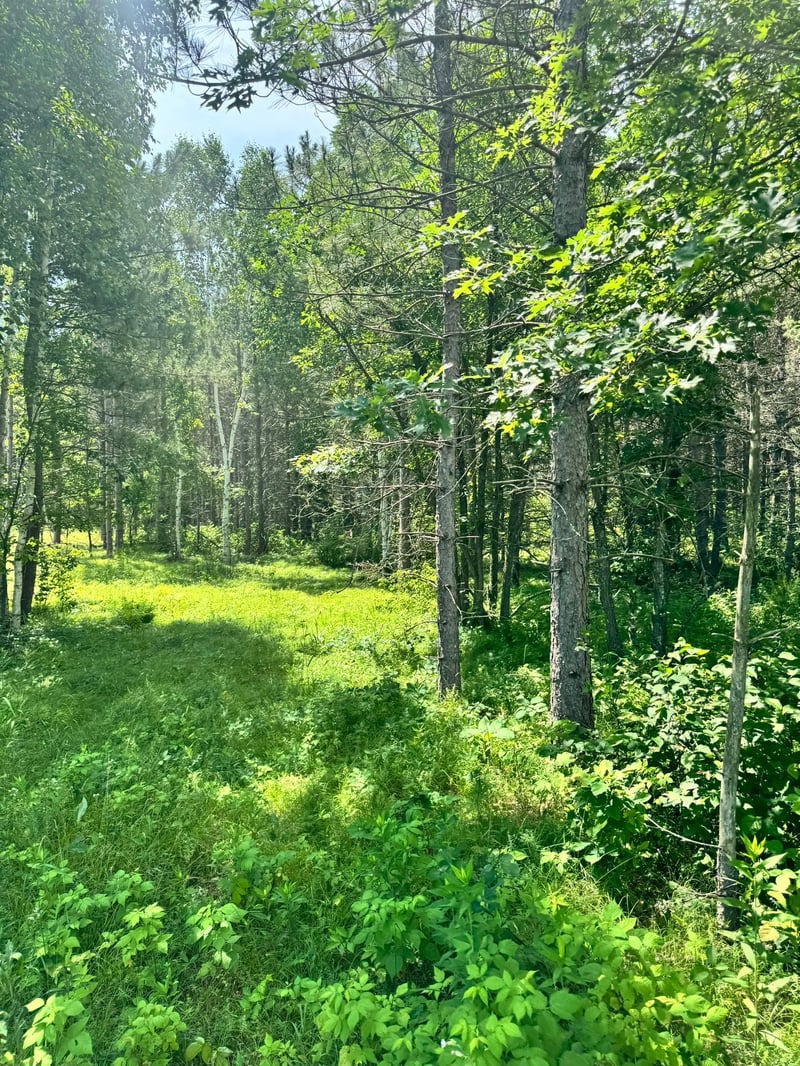 TBD4 Destination Dr, Nevis, MN 56467