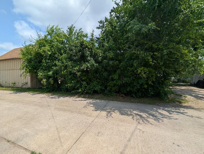3xx 2nd Ave S, South Saint Paul, MN 55075