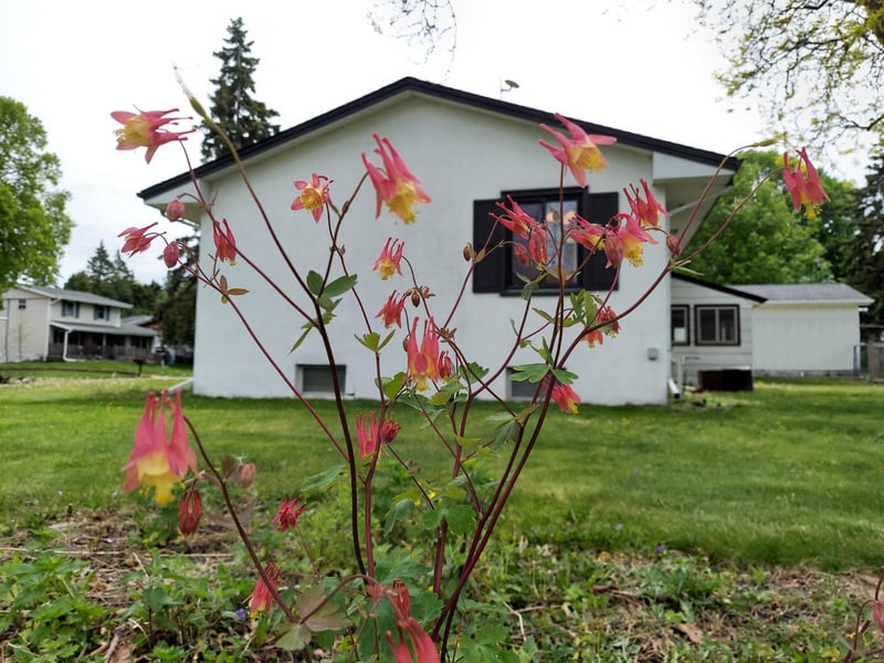 1791 Lake St, Lauderdale, MN 55113