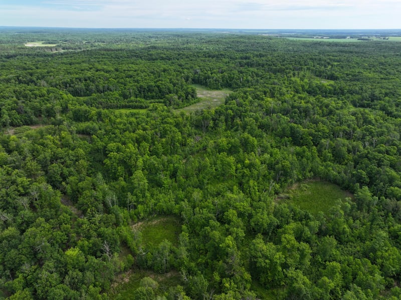 TBD County Highway 26, Rochert, MN 56578