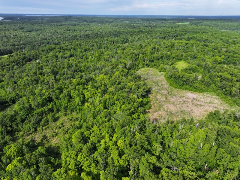 TBD County Highway 26, Rochert, MN 56578