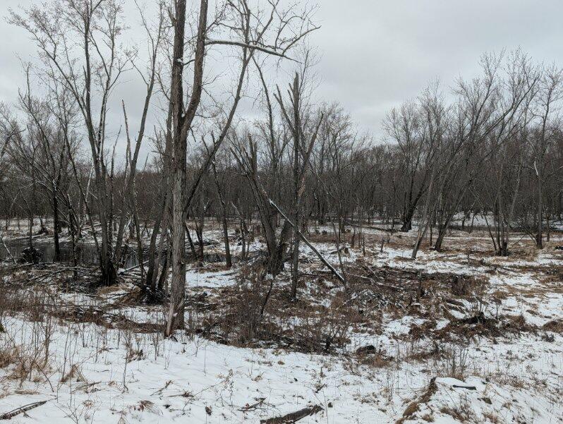 1739 Liberty St, Mora, MN 55051