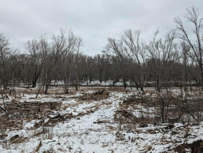1739 Liberty St, Mora, MN 55051