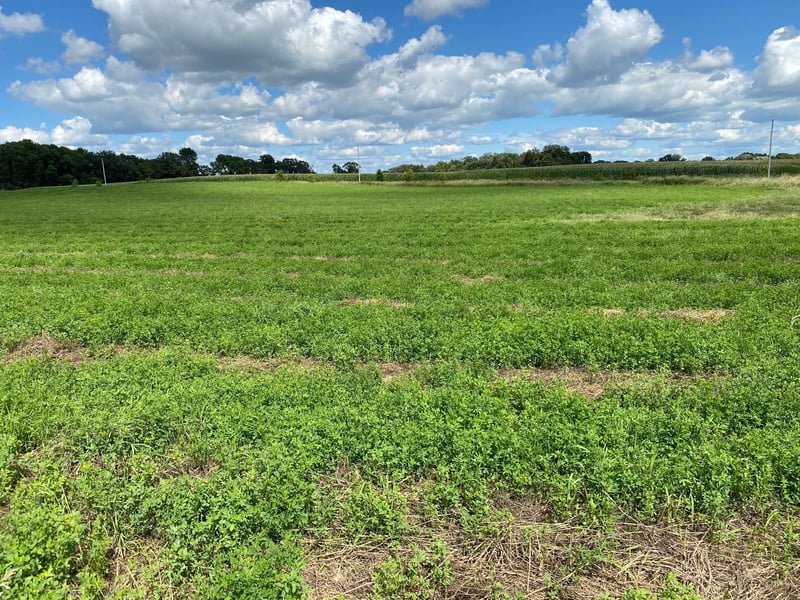 Lot 2 Blk 2 Serenity Dr SW, Alexandria, MN 56308
