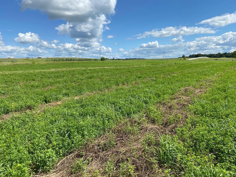 Lot 2 Blk 2 Serenity Dr SW, Alexandria, MN 56308