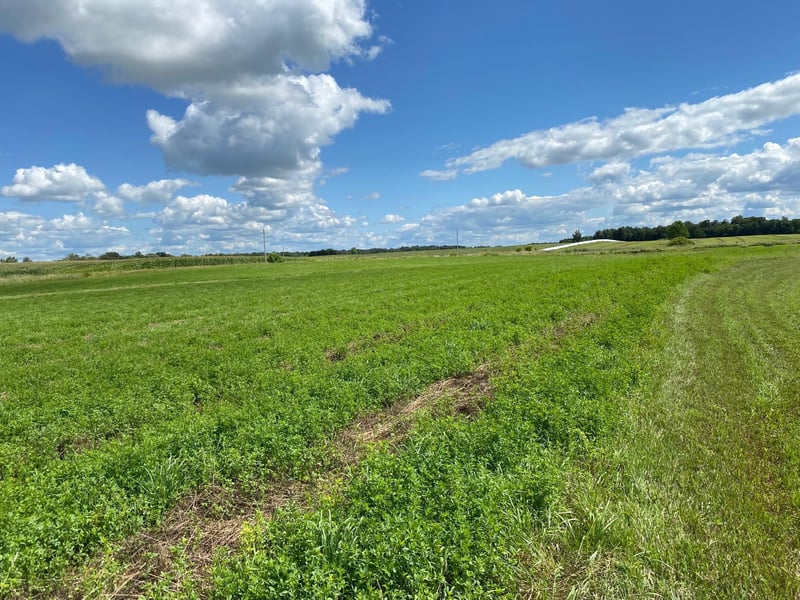 Lot 2 Blk 2 Serenity Dr SW, Alexandria, MN 56308