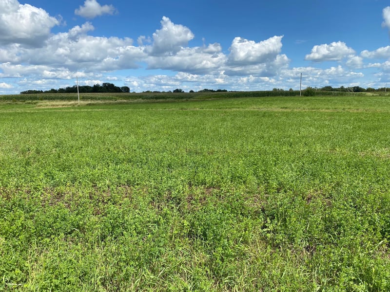 Lot 2 Blk 2 Serenity Dr SW, Alexandria, MN 56308