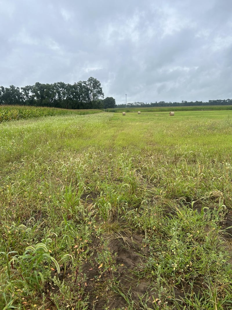 Lot 1 Orlando Ave, Hastings, MN 55033