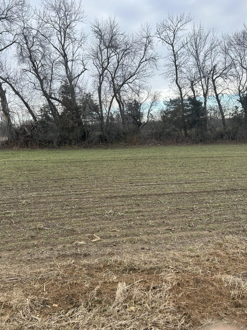 Lot 1 Orlando Ave, Hastings, MN 55033