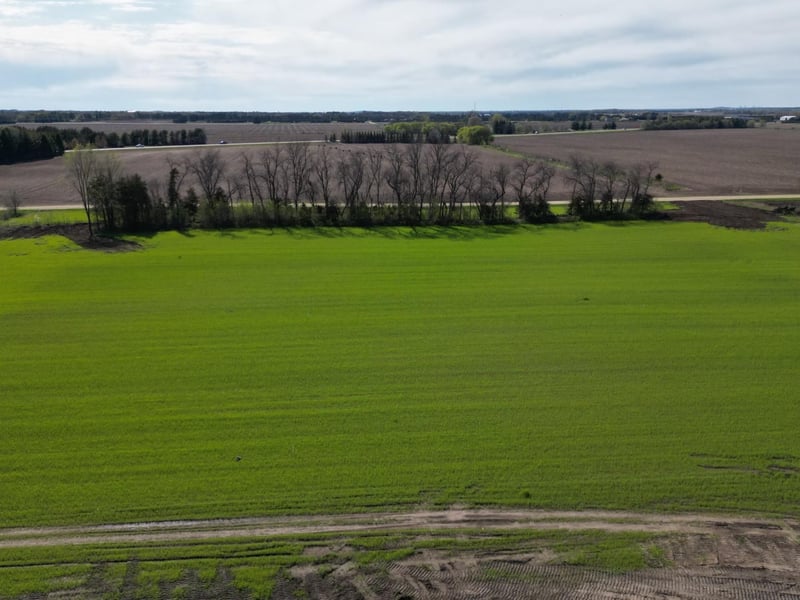 Lot 2 Orlando Ave, Hastings, MN 55033