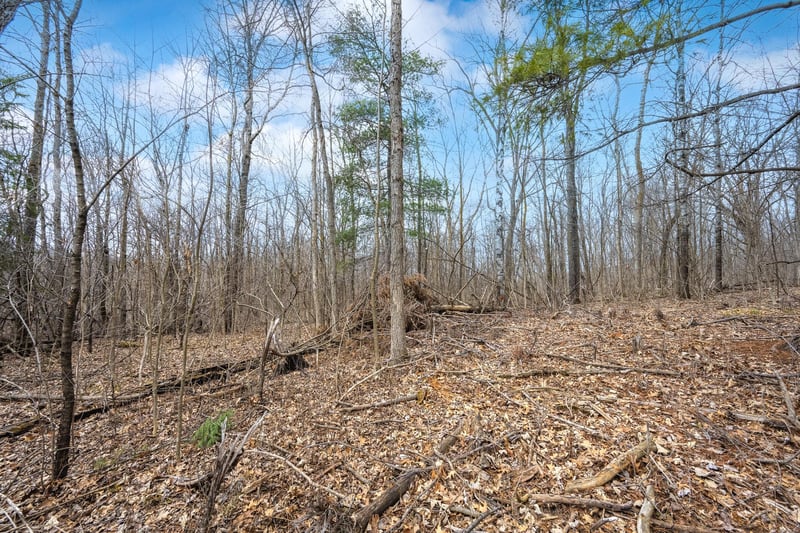 TBD Hwy 46, Balsam Lake, WI 54810