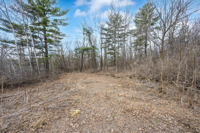 TBD Hwy 46, Balsam Lake, WI 54810