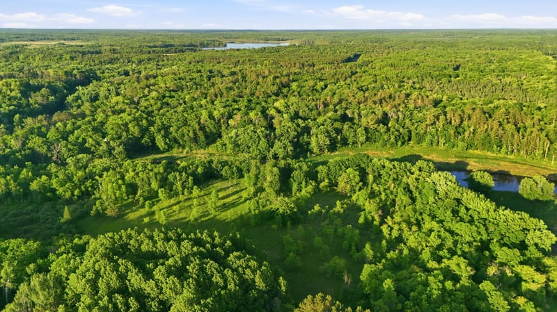 TBD Riverview Pl, Merrifield, MN 56465
