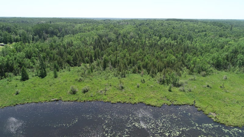TBD Rush Island Lake Rd, Deer River, MN 56636